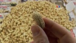 SHORT VIDEO: Ընդեղենի օգտակար հատկությունները