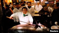 Kiyoshi Kimura (tengah), pemilik jaringan resto sushi di Jepang berpose bersama seekor ikan tuna seberat 230 kg. 