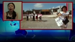 VOA连线王男栿: 纪录影片《我是流氓燕》