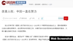 环球网发文赞扬中国改善人权努力