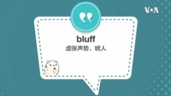 学个词 - bluff