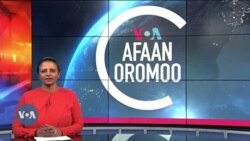 Tamsaasa Guyaadhaa Guyyaa