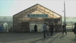 福岛向来访者力证食品安全