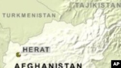 Afghan Energy Minister Survives Deadly Explosion