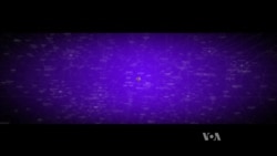 Artificial Intelligence Cannot Replace Doctors, Can Work Alongside Them