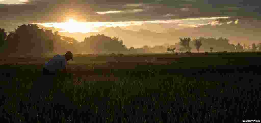 Peringkat ke-10 diraih Riza Nur Indra Lukmana dari Indonesia dengan foto berjudul &quot;Work In The Morning&quot;.