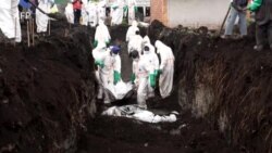 Koleka bibembe 2.000 ya baye bakufaki na Goma bikundami (Mbulamatari ya RDC)
