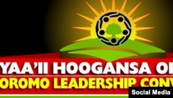 Hirbuu Oromoo, galmee Yaa’ii Hooggansa Oromoo irratti walii galan dhiyoottuu maxxansanii baasan