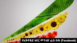 የኢትዮጵያ አየር መንገድ 