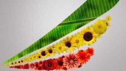 “የኢትዮጵያ” ና የሕንድ አይሮፕላኖች ክንፎች ተላተሙ