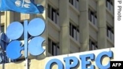 اوپک سطح تولید کنونی خود را حفظ می کند