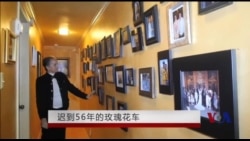 迟到56年的玫瑰花车