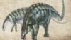 'Amazing Dragon' Fossils Rewrite History of Long-necked Dinosaurs