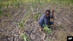 Ethiopia Drought