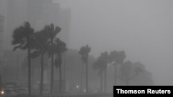 Badai Tropis Fred saat melewati Santo Domingo, Republik Dominika.