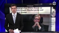 Бэннон предлагает план увольнения спецпрокурора