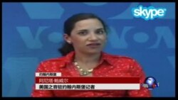 VOA连线：习近平访问南非