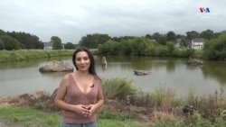 Բեյրութի նավահանգստից՝ տիեզերք, ապա Անտարկտիդա. Մեզ շրջապատող աշխարհը. ՀԱՅԱՑՔ ԱՄԵՐԻԿԱ