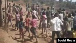 Hiriira Mormii Oromiyaa