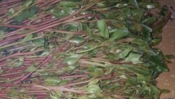 በድሬዳዋ የአትክልት ውጤቶችና የጫት ግብይት ሁኔታ