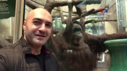 ԲԱՐԻ ԼՈՒՅՍ. Արման Թարջիմանյան՝ Վաշինգտոնի կենդանաբանական այգում