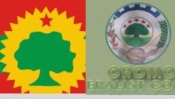 Shaambuutti Miseensonni ABO, Gindabaratitti Miseensonni KFO Hidhaman Jedhame