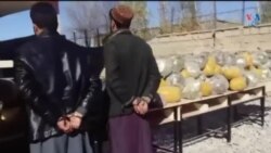 کشف مواد مخدر در ولایت غور