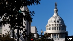 资料照：美国华盛顿的国会大厦