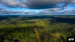 Vue aérienne de la route Transamazonica près de Medicilandia dans l'État du Para au Brésil, le 13 mars 2019. Cet État concentre 37% des zones dévastées par la déforestation en Amazonie. (AFP/Mauro Pimentel)