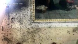 በግብፅ የአስቸኳይ ጊዜ ዓዋጅ ታወጀ