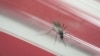 Cutar Zika Ka Iya Barkewa A Kasar Amurka 