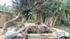 A burned car in Kurmin Masara village in Kaduna after gunmen attacked the village Aug. 6, 2020, killing tens of people. (Timothy Obiezu/VOA)