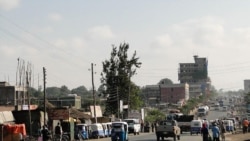 Jeequmsa Shaashamanneetti Dilbata Darbe Uumame Irratti Lubbuun Namootaa Sad'ii Darbee 70 Ol Madahan