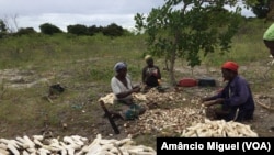 Wanawake wakitayarisha hifadhi ya chakula huko, Cabo Delgado, Msumbiji