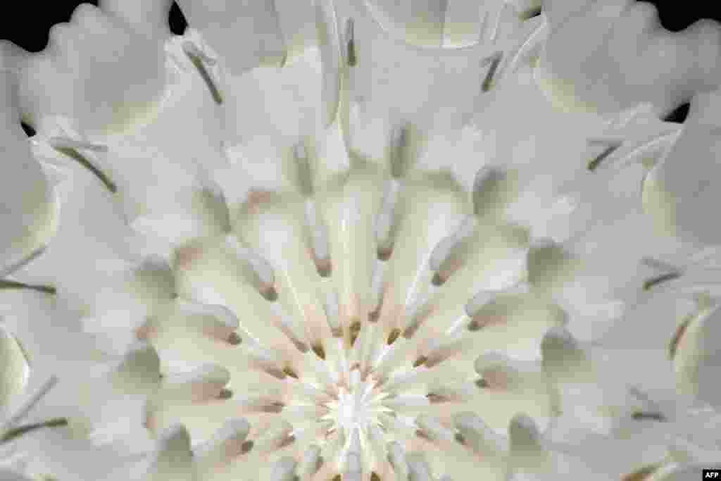 Sebuah robot &quot;ubur-ubur&quot; yang digunakan untuk pertanian dipamerkan dalam sebuah pameran di Paris, Perancis. 