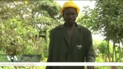 Des prisonniers apprennent l’agriculture au Kenya