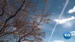 From Hockey Player to Legislator in Divided America