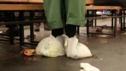 Եվրոպայում ձերբակալվել է ավելի քան 40 ջիհադական