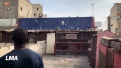 La colombophilie, nouvelle passion des jeunes Sénégalais