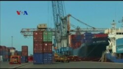 Pemanfaatan Kapal Kargo untuk Kebun Sayur Hidroponik