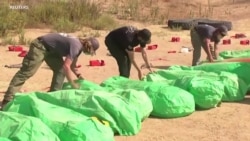 军队与消防员并肩对抗野火