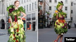 عکس از توئیتر Jellybean Creative