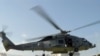 US military helicopter lands on grounds of Haiti's presidential palace, 19 Jan 2010