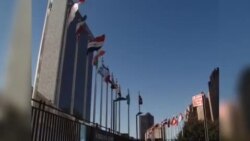 سازمان ملل خواستار تمدید آتش بس یمن شد