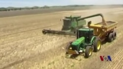 在线虚拟教程传递农业新技术