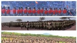 የክልል ልዩ ኋይሎች አነጋጋሪ ምስረታ እና ስጋት (ውይይት)