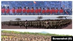 የትግራይ ፣አሮሚያ እና አማራ ክልሎች ልዩ ኋይሎች በከፊል 