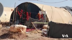 Efrînîyên Derbider Mûneta Zivistanê Kêm Çêdikin