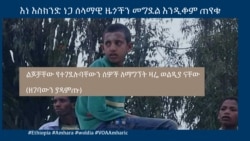 እነ እስክንድ ነጋ ሰላማዊ ዜጎችን መግደል እንዲቆም ጠየቁ
