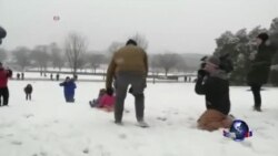 严寒冰雪天气袭击美东地区